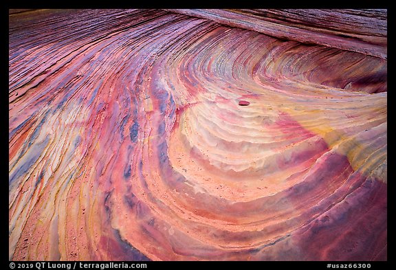 Multicolored swirls, Coyote Buttes South. Vermilion Cliffs National Monument, Arizona, USA (color)