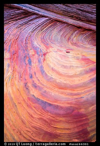 Swirls and striations, Coyote Buttes South. Vermilion Cliffs National Monument, Arizona, USA (color)