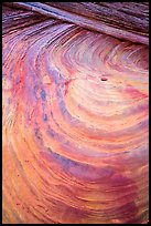 Swirls and striations, Coyote Buttes South. Vermilion Cliffs National Monument, Arizona, USA ( color)