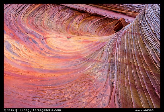 Striated multicolored rock, Coyote Buttes South. Vermilion Cliffs National Monument, Arizona, USA (color)