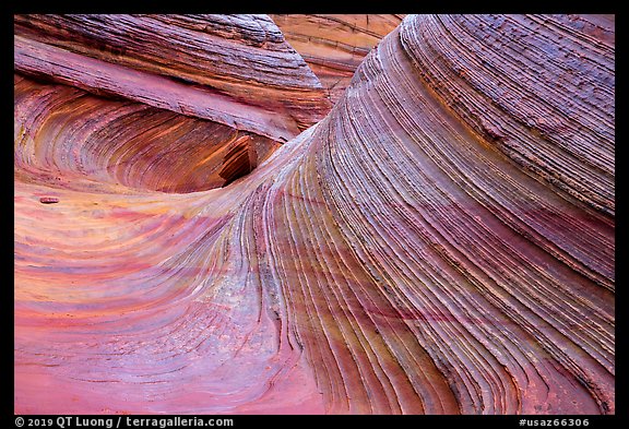 Third Wave, rain, Coyote Buttes South. Vermilion Cliffs National Monument, Arizona, USA