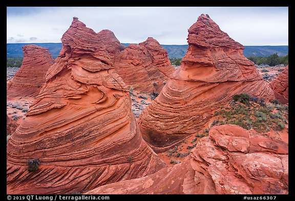Paw Hole Teepees, Coyote Buttes South. Vermilion Cliffs National Monument, Arizona, USA (color)