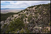 Arizona Strip from Mt. Trumbull range. Grand Canyon-Parashant National Monument, Arizona, USA ( color)