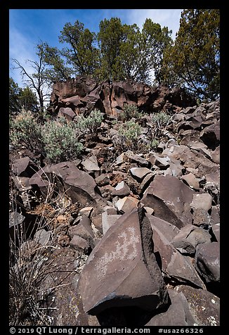 Talus with petroglyph, Nampaweap. Grand Canyon-Parashant National Monument, Arizona, USA (color)