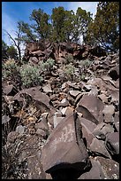 Talus with petroglyph, Nampaweap. Grand Canyon-Parashant National Monument, Arizona, USA ( color)