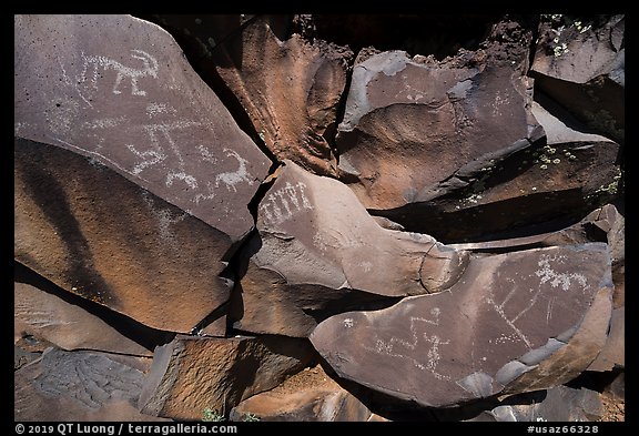 Petroglyphs etched into black basalt rock, Nampaweap. Grand Canyon-Parashant National Monument, Arizona, USA (color)
