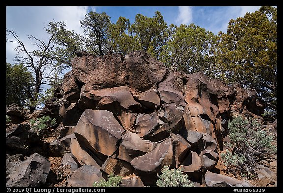 Nampaweap Rock Art Site. Grand Canyon-Parashant National Monument, Arizona, USA