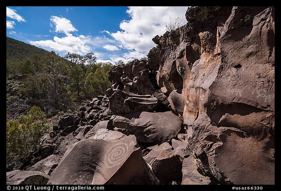Nampaweap Petroglyph Site. Grand Canyon-Parashant National Monument, Arizona, USA