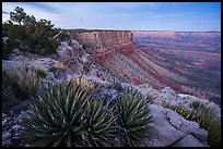 Pictures of Grand Canyon-Parashant National Monument