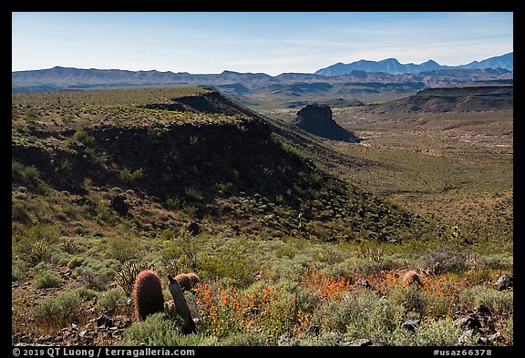 Mojave Desert landscape. Grand Canyon-Parashant National Monument, Arizona, USA