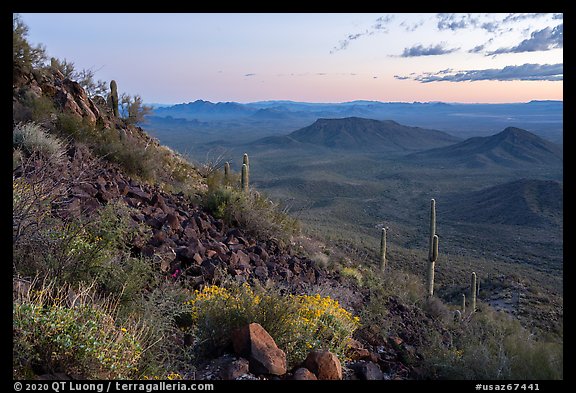 Lava field and desert vegetation on slopes of Table Top Mountain at twilight. Sonoran Desert National Monument, Arizona, USA