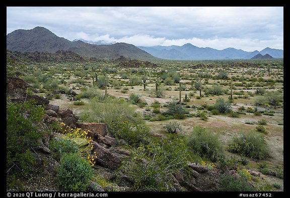 Margies Cove, North Maricopa Mountains. Sonoran Desert National Monument, Arizona, USA (color)