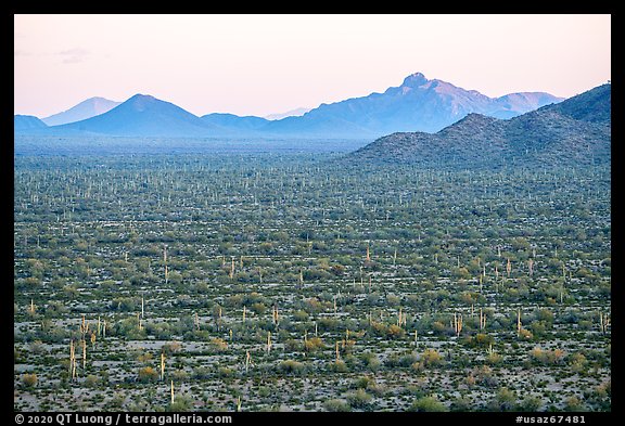 Vekol Valley and Vekol Mountains at sunset. Sonoran Desert National Monument, Arizona, USA (color)