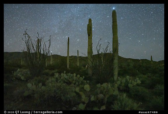 Cactus and Javelina Mountains at night. Sonoran Desert National Monument, Arizona, USA (color)
