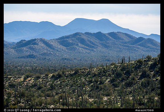 Table Top Mountains. Sonoran Desert National Monument, Arizona, USA (color)