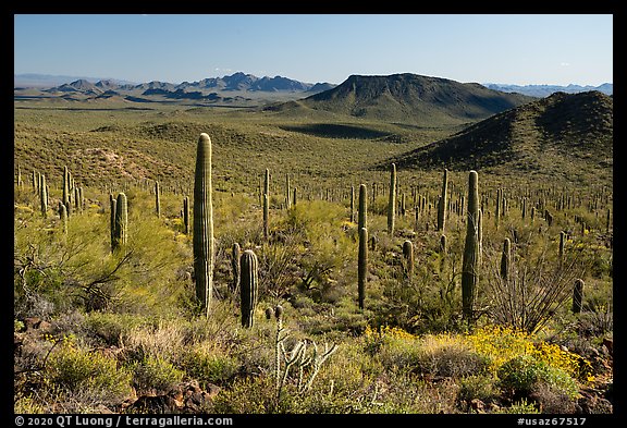 Vekol Mountains from Table Top Mountain. Sonoran Desert National Monument, Arizona, USA
