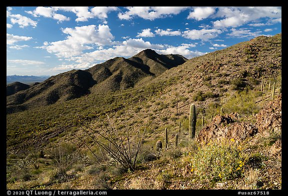 Black Mountain from Table Top Mountain. Sonoran Desert National Monument, Arizona, USA
