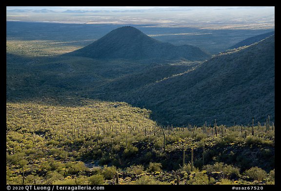 Table Mountain slopes and Vekol Valley. Sonoran Desert National Monument, Arizona, USA