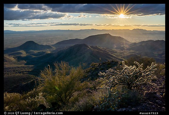 Sun and cactus high on Table Mountain. Sonoran Desert National Monument, Arizona, USA