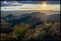 Sun and cactus high on Table Mountain. Sonoran Desert National Monument, Arizona, USA ( color)