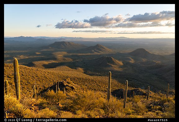 Table Mountain slopes and distant Vekol Valley, late afternoon. Sonoran Desert National Monument, Arizona, USA (color)