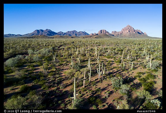 Aerial view of bajada with Silver Bell Mountains, Wolcott Peak, and Ragged Top in distance. Ironwood Forest National Monument, Arizona, USA