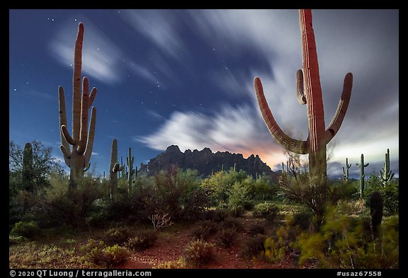 Cactus and Ragged top in moonlight. Ironwood Forest National Monument, Arizona, USA