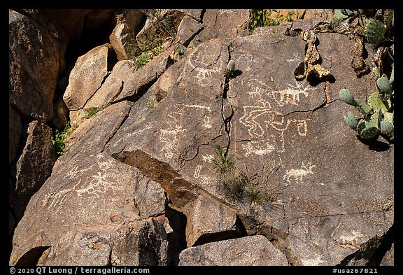 Petroglyphs, Badger Springs Canyon. Agua Fria National Monument, Arizona, USA (color)