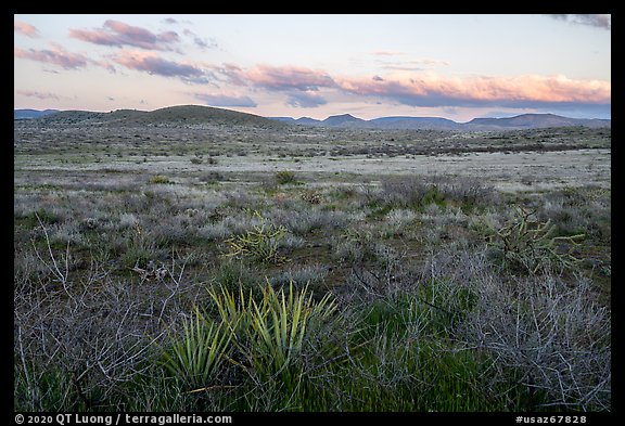 Desert grassland at sunset. Agua Fria National Monument, Arizona, USA (color)