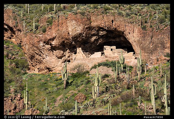 Salado-style cliff dwellings, Tonto National Monument. Tonto Naftional Monument, Arizona, USA (color)