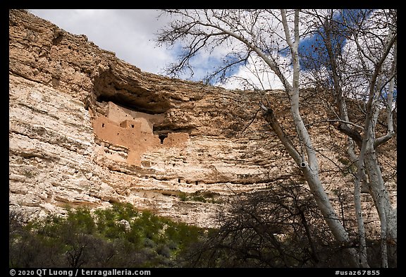 Limestone cliff with Sinagua dwelling, Montezuma Castle National Monument. Arizona, USA