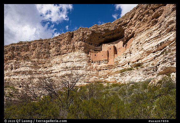 Sinagua cliff dwelling, Montezuma Castle National Monument. Arizona, USA