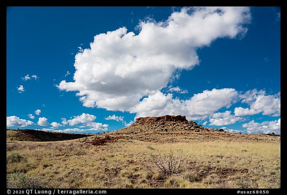 Citadel Sink. Wupatki National Monument, Arizona, USA (color)
