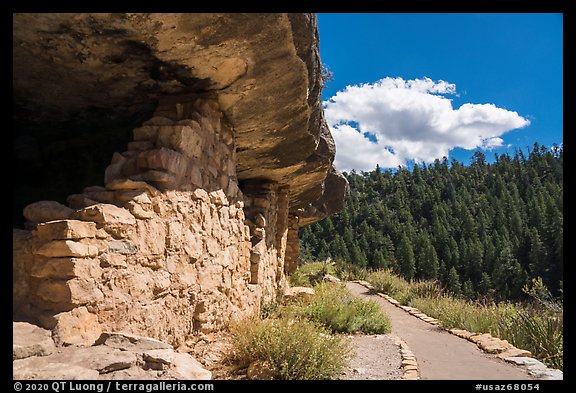 Cliffs dwellings and trail, Walnut Canyon National Monument. Arizona, USA