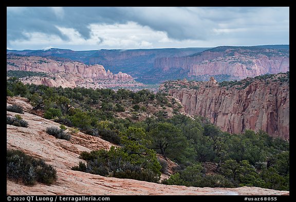 Distant cliffs, Tsegi Canyon system. Navajo National Monument, Arizona, USA (color)