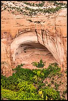 Betatakin ruins in large alcove. Navajo National Monument, Arizona, USA ( color)