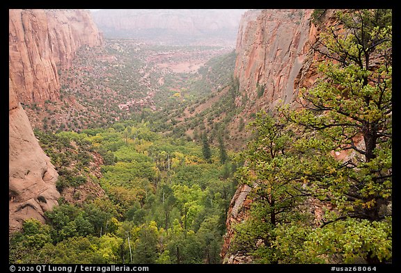 Rain, Betatakin Canyon. Navajo National Monument, Arizona, USA (color)