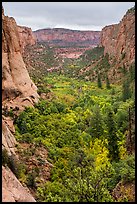 Betatakin Canyon in early autumn. Navajo National Monument, Arizona, USA ( color)