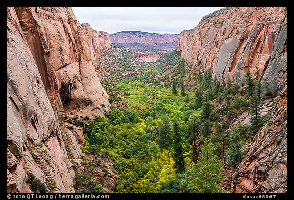 Betatakin Canyon. Navajo National Monument, Arizona, USA (color)
