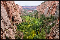 Betatakin Canyon. Navajo National Monument, Arizona, USA ( color)