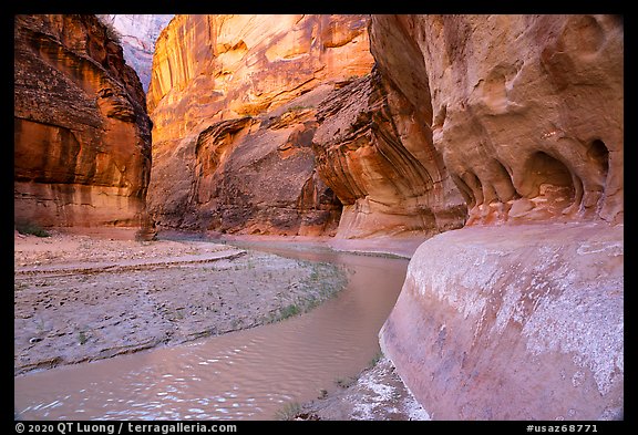 Bend in Paria Canyon with windows carved by water. Vermilion Cliffs National Monument, Arizona, USA