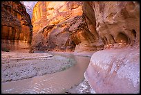 Bend in Paria Canyon with windows carved by water. Vermilion Cliffs National Monument, Arizona, USA ( color)