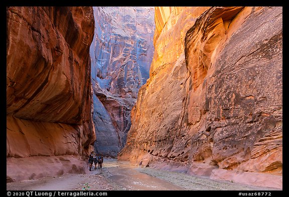 Group of backpackers in Paria Canyon. Vermilion Cliffs National Monument, Arizona, USA (color)