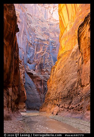Tall walls of Paria Canyon. Vermilion Cliffs National Monument, Arizona, USA (color)