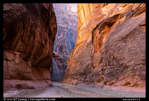 Paria Canyon narrows. Vermilion Cliffs National Monument, Arizona, USA