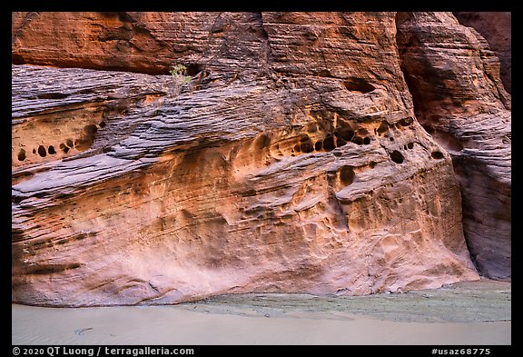 Wall with holes, Paria Canyon. Vermilion Cliffs National Monument, Arizona, USA