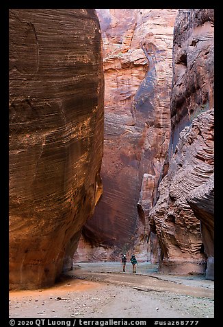 Hikers below huge walls, Paria Canyon. Vermilion Cliffs National Monument, Arizona, USA
