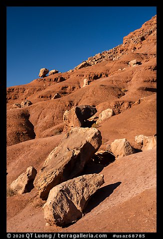 Rocks on slope. Vermilion Cliffs National Monument, Arizona, USA