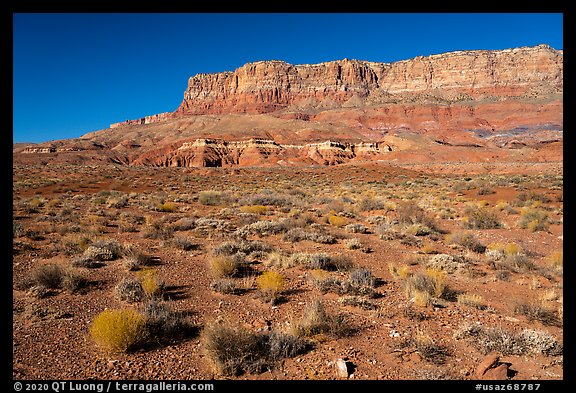 Vermilion Cliffs rising above flats. Vermilion Cliffs National Monument, Arizona, USA (color)