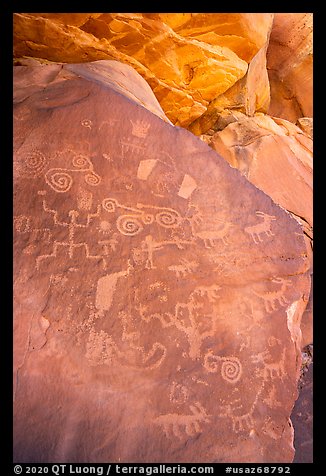Rock with petroglyps. Vermilion Cliffs National Monument, Arizona, USA